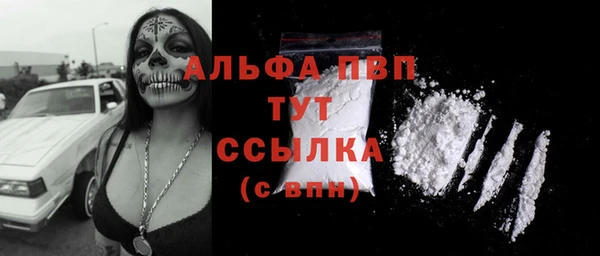 спайс Беломорск