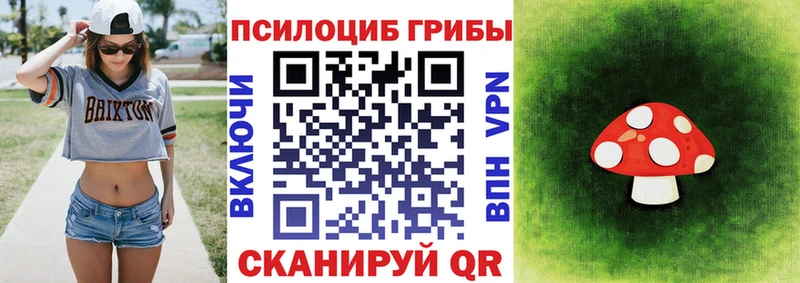 Галлюциногенные грибы прущие грибы Новоалтайск